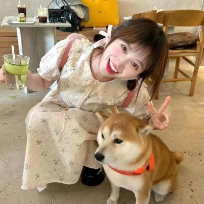 迈克先生的问答录像
